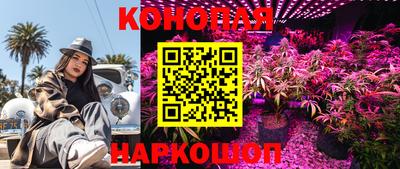 PSILOCYBIN Заволжье