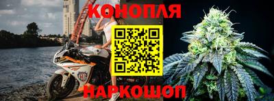 стафф Заводоуковск