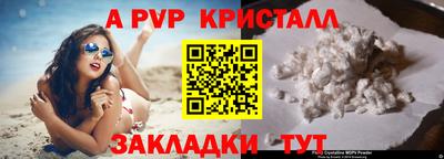 PSILOCYBIN Заволжье