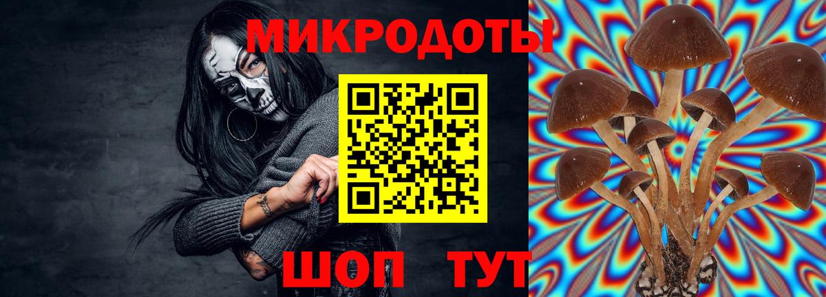 Псилоцибиновые грибы мухоморы Луга